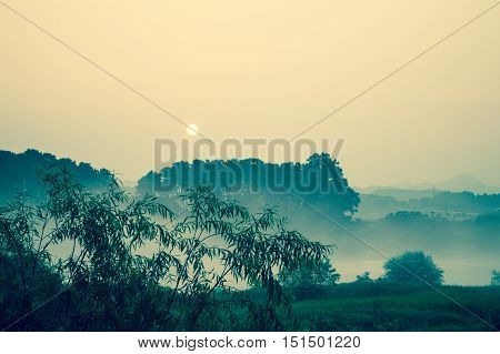 Landscape of lake with trees and other foliage in both the foreground and background and the sun rising in background processed with blue filer to highlight mist rising off the water.