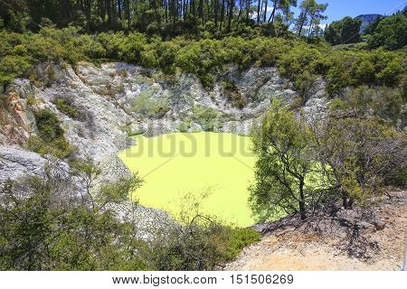 Devil's Bath Pool In Waiotapu Thermal Reserve, Rotorua, New Zealand