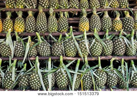 Fresh pineapple on shelf at the market. Country side of thailand.