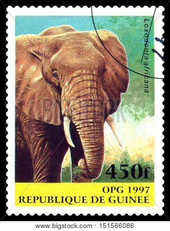STAVROPOL RUSSIA - October 12 2016: a stamp printed in Guinea (Republique de Guinee) shows Elephant Savannah (Loxodonta africana) circa 1997.