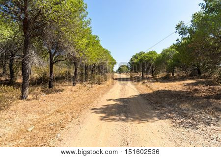 The wetlands of the River Guadiana between Castro Marim and Vila Real de Santo António feature meadows and marshes.