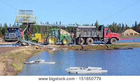 Saint-Louis-de-Blandford Quebec Canada 10 06 16: Cranberry farm water management harvesting in Saint-Louis-de-Blandford located on the Becancour River in Arthabaska county Centre-du-Quebec region.