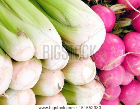 Fenchel and Radishes on bazaar in Tel Aviv Israel January 12 2011