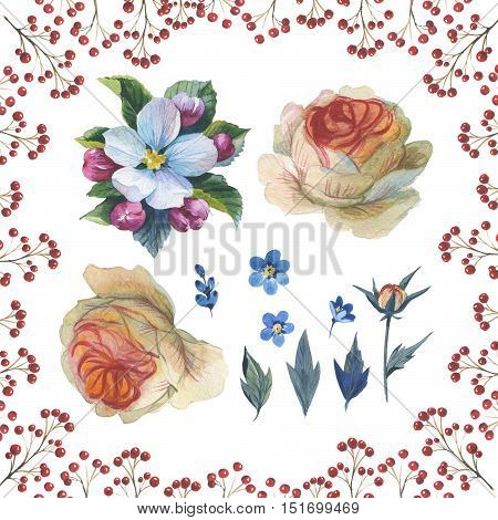 Wildflower flower frame in a watercolor style isolated. Aquarelle wild flower for background, texture, wrapper pattern, frame or border.