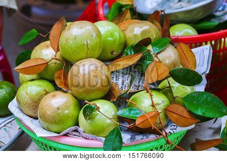 star Apple in the Vietnamese market. fruit