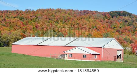 BROMONT QUEBEC CANADA 10 11 2016: Fall landscape farm in country side of Bromont it is in the Brome-Missisquoi Regional County Municipality