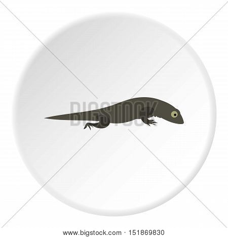 Gray lizard icon. Flat illustration of gray lizard vector icon for web