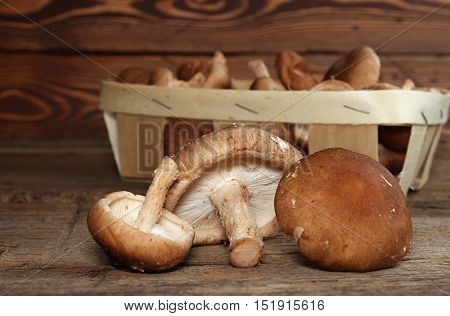 Shiitake Mushrooms