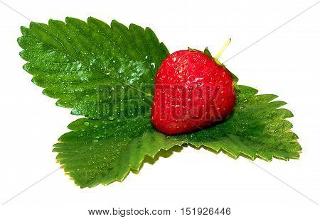 Fresh strawberries on summer strawberriesseasonal fruits on springred fruit
