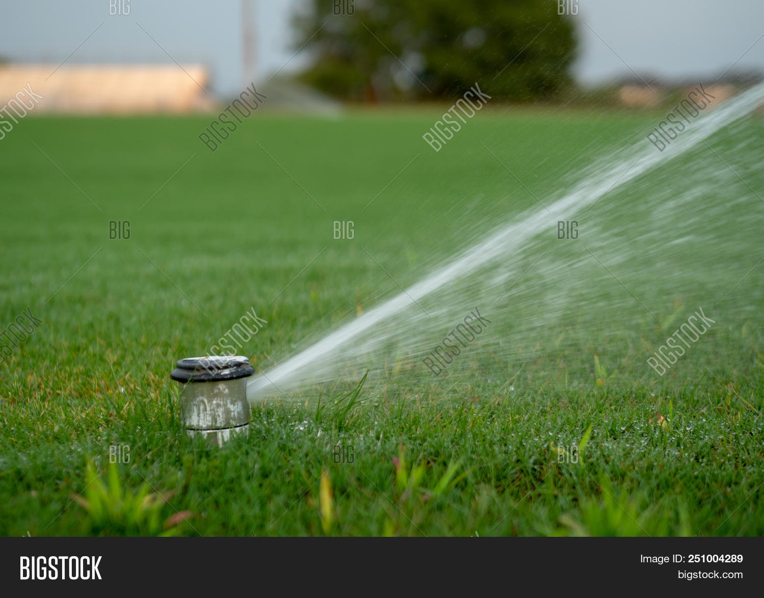 Sprinkle Ground -ground Sprinkler Image & Photo (Free Trial) | Bigstock