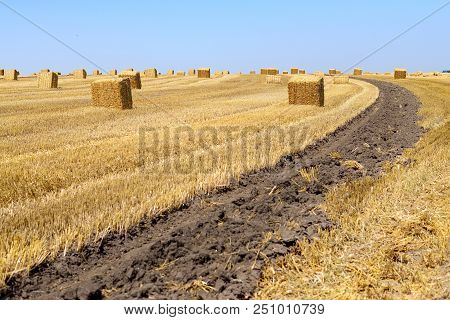 Big Square Bales Of Straw In The Meadow.