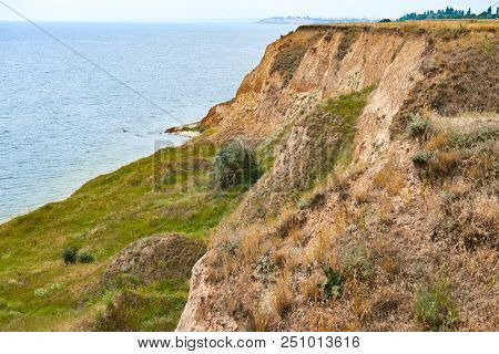 car on high coast by the sea, beautiful landscape, wild grass and trees, summer travel concept
