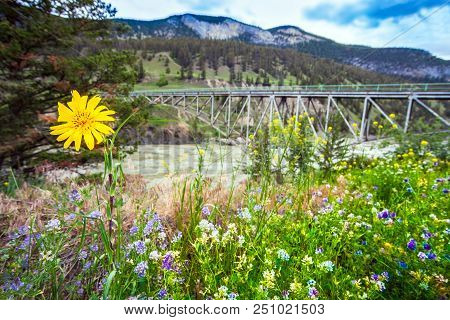 Bridge Over The Fraser River At Williams Lake British Columbia Canada