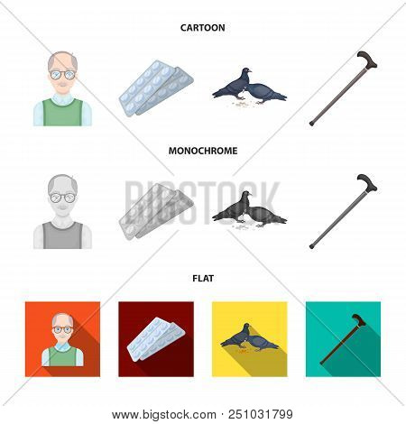 Elderly Men, Tablets, Pigeons, Walking Cane.old Age Set Collection Icons In Cartoon, Flat, Monochrom
