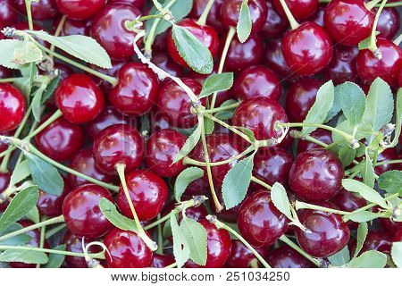 Bright Red Ripe Cherry Texture Food One