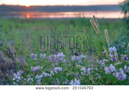 The Picture Was Taken In Ukraine, On The Bank Of The Liman Called Kuyalnik Near The City Of Odessa. 