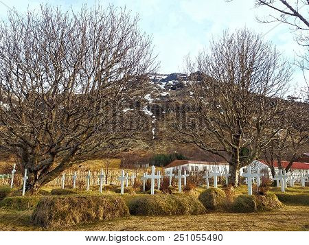 Christian Cemetery In Hofskirkja, Iceland During Winter Period