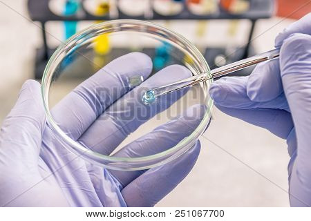 Laboratory Assistant Chemical Analysis. Chemical Laboratory. Chemical Reagents.