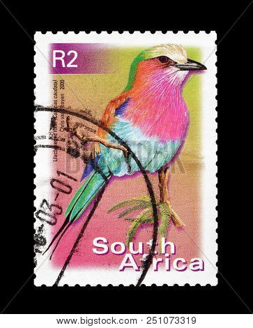 South Africa - Circa 2000 : Cancelled Postage Stamp Printed By South Africa, That Shows Lilac Breste