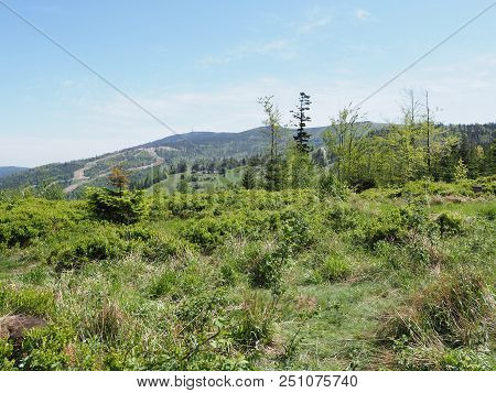 Salmopol Pass Near Kotarz Mount In Silesian Beskids Mountains Range Landscapes Above European City O