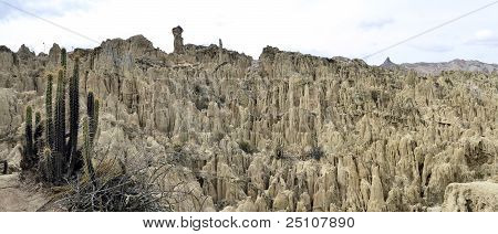 Valle de la luna en La Paz Bolivia con Cactus
