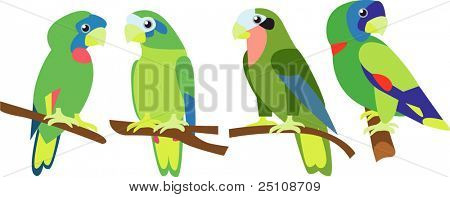 Vector cartoon uccelli set
