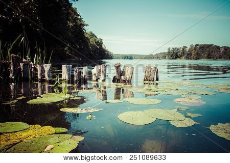 Lake With Some Nenufar Leaves On A Summer Day