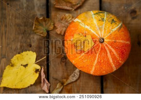 Wet Pumpkin On Autumn Wooden Background. Yellow Dry Leaf On A Pumpkin, Top View