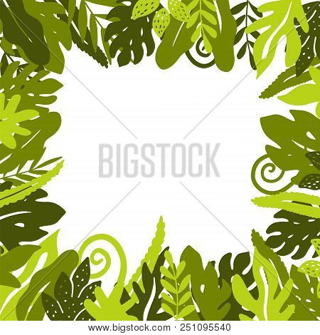 Tropical Background With Palm Leaves. Jungle. Vector Illustration.