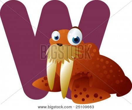 最新 ABC 動物: W セイウチのです。