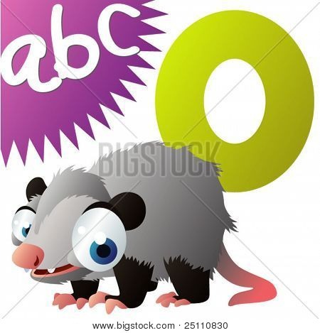 O is for Opossum