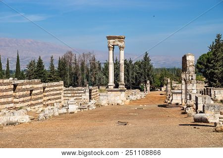 Columns And Pines In Umayyad City Ruins In Anjar With Mountains, Bekaa Valley, Lebanon