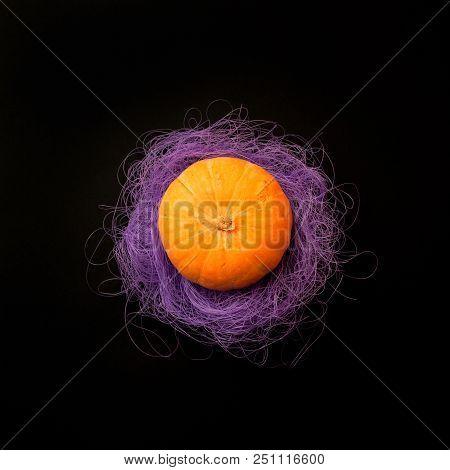 Halloween Holiday Concept, Pumpkin And Puprle Nest On Black Background.