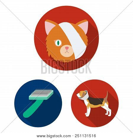 Veterinary Clinic Flat Icons In Set Collection For Design. Treatment Of A Pet Vector Symbol Stock  I