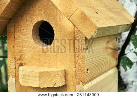 Wooden Handmade Birdhouse Hanging On A Birch Tree In The Forest In Summer Close Up
