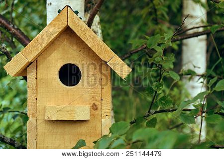Wooden Handmade Birdhouse Hanging On A Birch Tree In The Forest In Summer