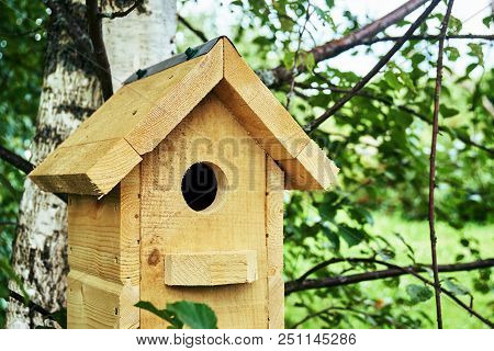 Wooden Handmade Birdhouse Hanging On A Birch Tree In The Forest In Summer
