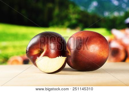 Group Of Two Whole One Slice Of Ripe Deep Red Nectarine With Country Nature In Background