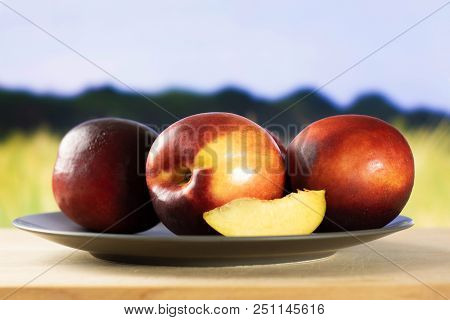 Group Of Three Whole One Slice Of Ripe Deep Red Nectarine On A Grey Ceramic Plate With Green Wheat F