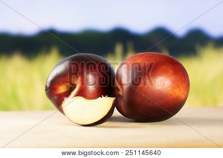 Group Of Two Whole One Slice Of Ripe Deep Red Nectarine With Green Wheat Field In Background