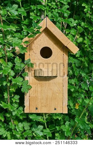 Wooden Handmade Birdhouse On The Green Leaves Background