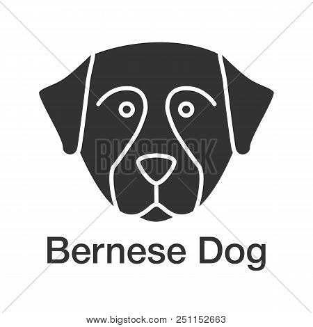 Bernese Mountain Dog Glyph Icon. Sennenhund Dog. Silhouette Symbol. Negative Space. Vector Isolated 