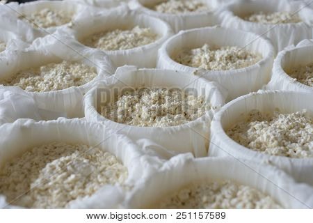 Cheese Making Process. Molds With Semifinished For The Production Of Cheese. Cheese Ripening. Dairy 