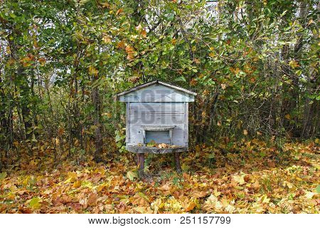 Blue Wooden Beehive In Sunny Autumn Forest
