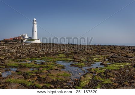 Looking Out To St. Marys Lighthouse On A Summers Day, With Peolple Looking At Rock Pools In The Dist