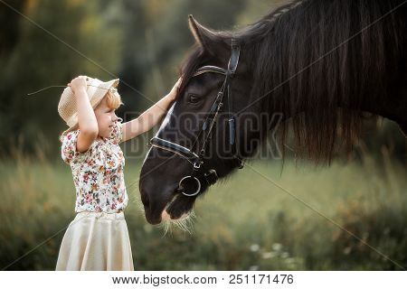 Little Girl With Shire Horse At Summer Evening Day
