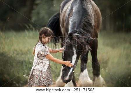 Little Girl With Shire Horse At Summer Evening Day