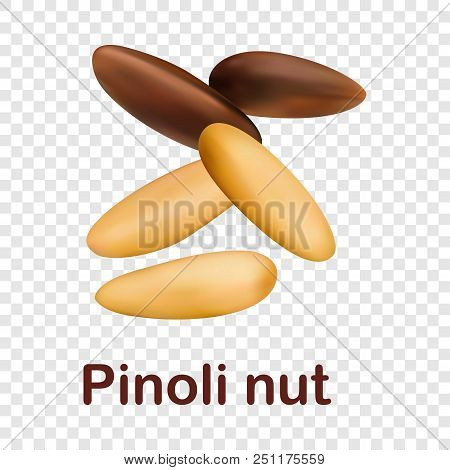Pinoli Nut Icon. Realistic Illustration Of Pinoli Nut Vector Icon For On Transparent Background