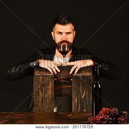 Degustator With Serious Face Leans On Chair By Wine Bottle And Dark Grapes. Winetasting And Degustat