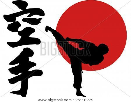 Illustrazione di karate Jpg